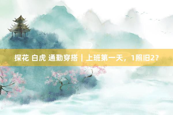 探花 白虎 通勤穿搭｜上班第一天，<a href=