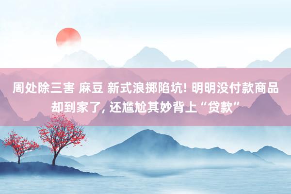 周处除三害 麻豆 新式浪掷陷坑! 明明没付款商品却到家了， 还尴尬其妙背上“贷款”