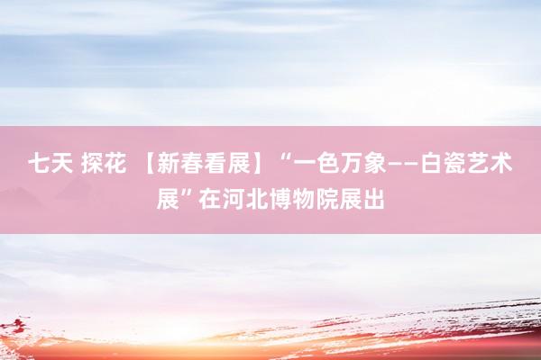 七天 探花 【新春看展】“一色万象——白瓷艺术展”在河北博物院展出