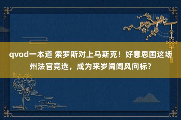 qvod一本道 索罗斯对上马斯克！好意思国这场州法官竞选，成为来岁阛阓风向标？
