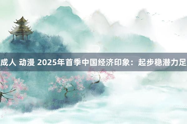 成人 动漫 2025年首季中国经济印象：起步稳潜力足