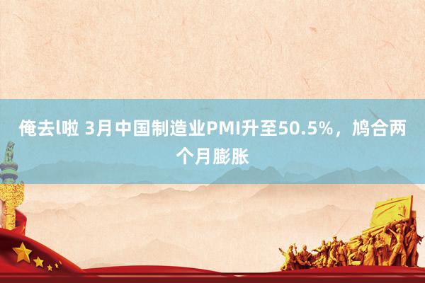 俺去l啦 3月中国制造业PMI升至50.5%，鸠合两个月膨胀