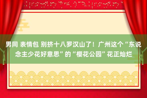 男同 表情包 别挤十八罗汉山了！广州这个“东说念主少花好意思”的“樱花公园”花正灿烂