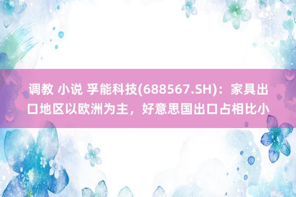 调教 小说 孚能科技(688567.SH)：家具出口地区以欧洲为主，好意思国出口占相比小