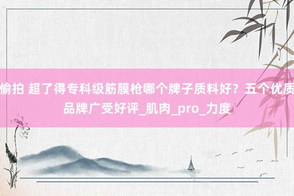 偷拍 超了得专科级筋膜枪哪个牌子质料好？五个优质品牌广受好评_肌肉_pro_力度