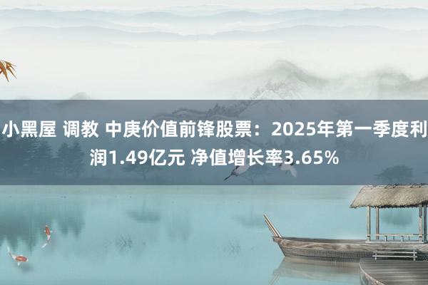 小黑屋 调教 中庚价值前锋股票：2025年第一季度利润1.49亿元 净值增长率3.65%